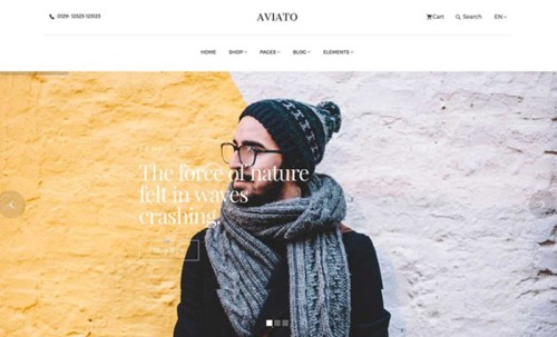 Aviato Elegant Ecommerce Website Template