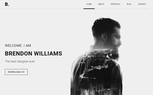 Brendon - Minimal Personal Portfolio Website Template
