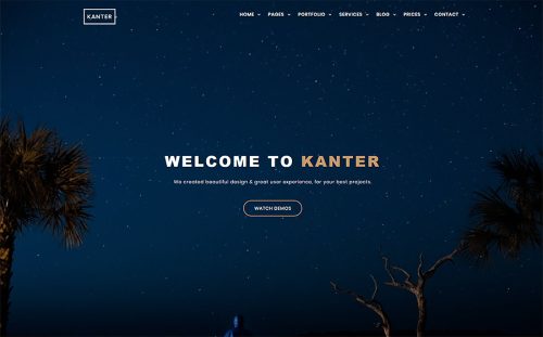 Kanter - Creative Responsive Minimalistic HTML Website Template