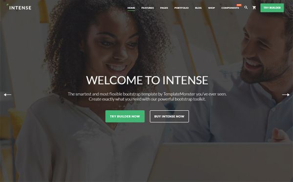 Intense - Multipurpose Website Template
