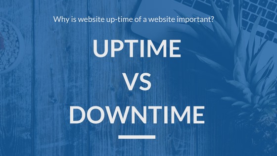 hosting speed test uptime downtime